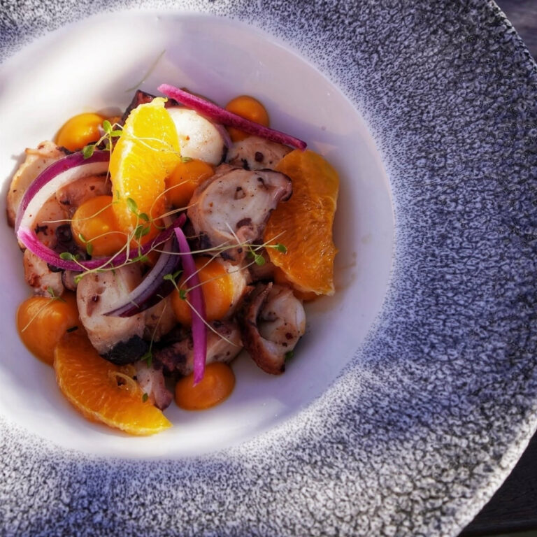 menu-semaine-la-canopee-serres-castet-entrée-froide